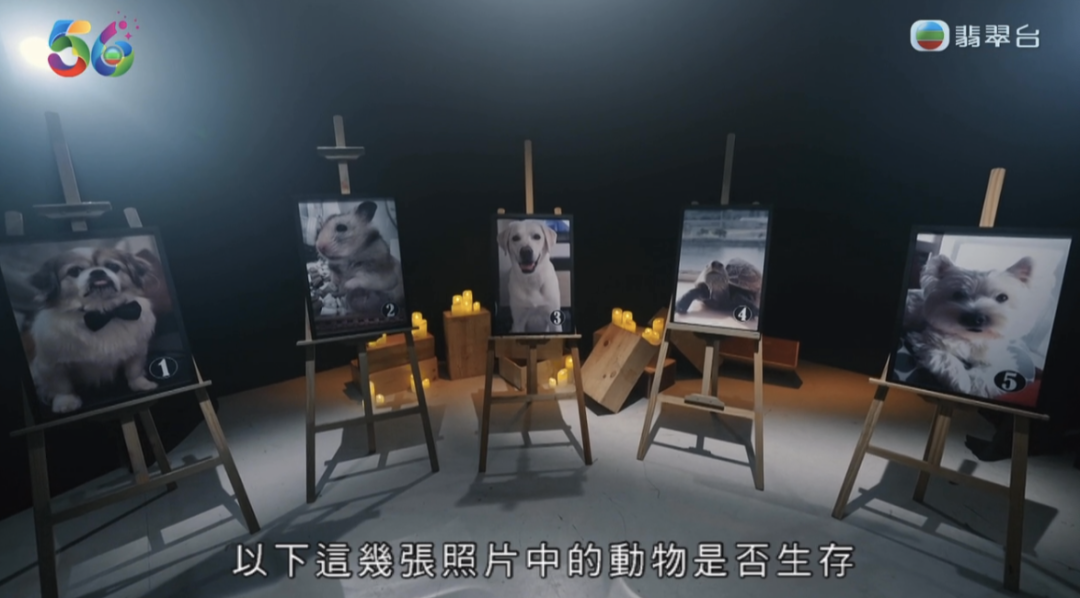 内地被禁题材，香港拍出花儿配图60-电影解析